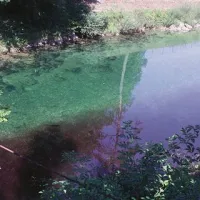 Ob suši smrdeč, sicer pa zgolj neprijeten pogled na klavniško kri