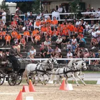 Svetovni prvak Bram Chardon