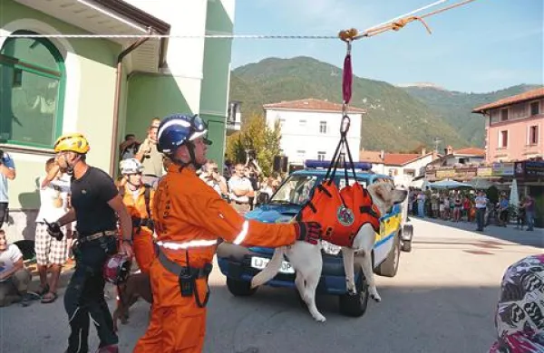 Reševalni psi so vdano prenašali  transport po zraku in v muzeju hitro našli pogrešane 