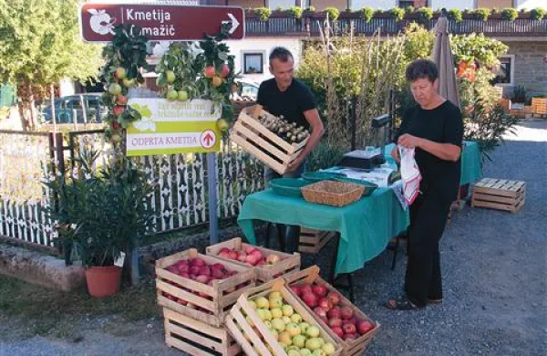Na kmetiji Tomažič na Tatrah so se pripravili na sprejem gostov