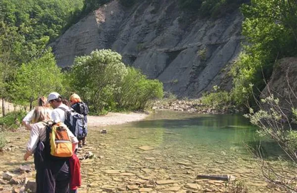 Država in občine soglašajo, da si dolina Dragonje zasluži zaščito v obliki krajinskega parka, a se ne uspejo dogovoriti, kdo ga bo ustanovil