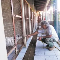 Kadar pes zapusti zavetišče in gre k novemu lastniku, zaposleni občutijo tako žalost kakor veselje 
