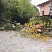 V Bukovici sta pod podrtim drevesom ostala ukleščena dva avtomobila