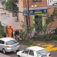 Nekaj minut pred poldnevom  je  v Postojni močan sunek vetra odlomil vrh okoli štiri desetletja stare in približno  30 metrov visoke smreke v parku Srednje gozdarske in lesarske šole. K sreči je povzročil le delo za komunalce.