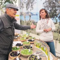 Stojnica poskusnega centra za oljkarstvo