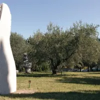 Naravna sopotnika: umetnost in oljka