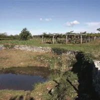 Kal pri Čotnih na robu Kobjeglave je ograjen z lepim suhozidom, za njim je tradicionalni kraški latnik