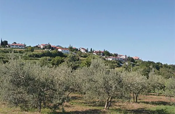 Turistična kmetija, ki naj bi jo zgradili nad Izolo, je ostala brez občinskega soglasja