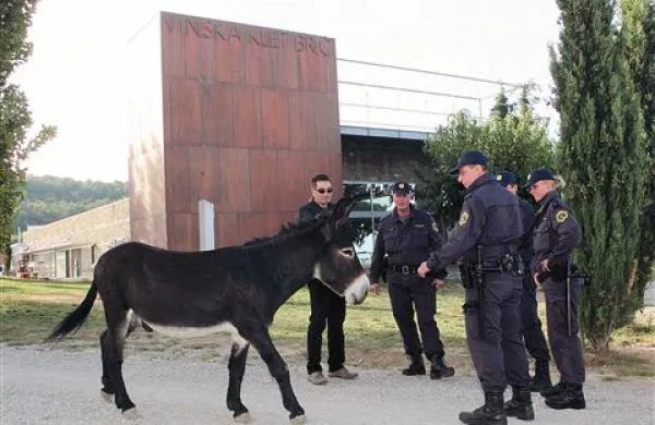 Izvršitelja in policiste je na Briču pozdravil tudi  osliček Moro