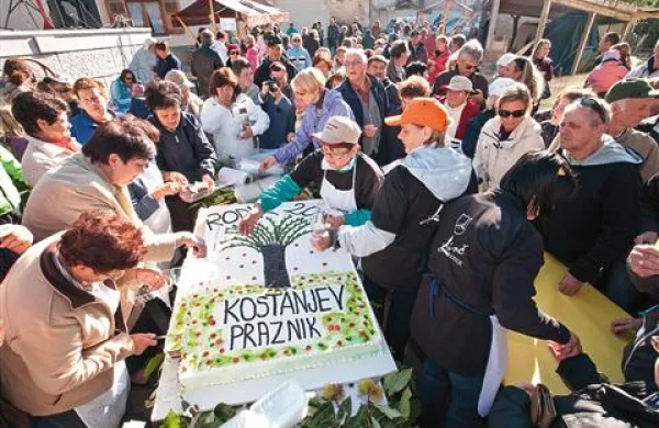 Prireditev, ki je ena večjih v hrpeljsko-kozinski občini, je razgibala še glasba in petje, tradicionalno torto velikanko, ki je letos tehtala 60-kilogramov, pa so obiskovalci pojedli  v dobre četrt ure. 