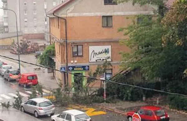 Pred dvema tednoma je burja odlomila del smreke v parku Srednje gozdarske in lesarske šole in jo položila čez Tržaško cesto