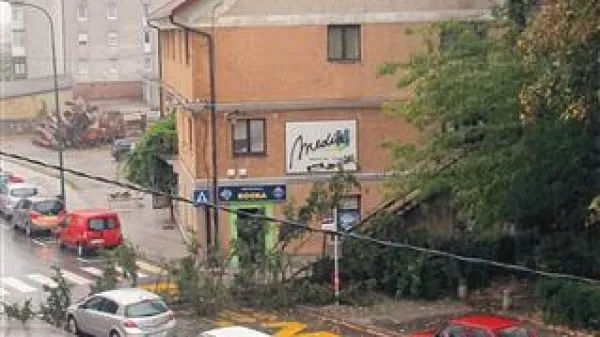 Pred dvema tednoma je burja odlomila del smreke v parku Srednje gozdarske in lesarske šole in jo položila čez Tržaško cesto