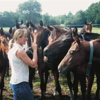 Antje Kerber je direktorica žrebčarne Redefin. Prepričana je, da mora   konj ostati osrednja točka evropskih državnih kobilarn.  