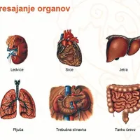 Veliko organov darovalcev rešuje življenja hudo bolnih 