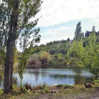 Kontovelska mlaka