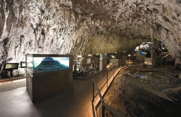 Proteusovo jamo - Vivarij  si je do konca oktobra  ogledalo že več kot 4000 turistov
