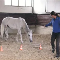 Neuhauser   s kazalcem in pogledom kaže v točko meter pred konjevimi nogami. Konj mu sledi do centimetra natančno.
