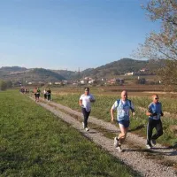 Tekaška kolona se je raztegnila po s soncem ogreti Vipavski dolini. V ospredju tečejo (z desne) nekdanji olimpijec Danilo Pudgar z Gradišča pri Vipavi, Franc Škrlj iz Zavrhka in Ivan Kavčič iz Žapuž.