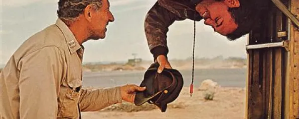 Leta 1970 je  Mike Nichols po romanu posnel film, v katerem so zaigrali Alan Arkin, Anthony Perkins, Orson Welles, Art Garfunkel, Jon Voight ...
