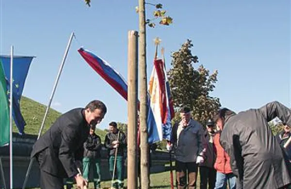 Posadili so drevo spomina