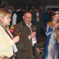 In mo&scaron;t je vino postal