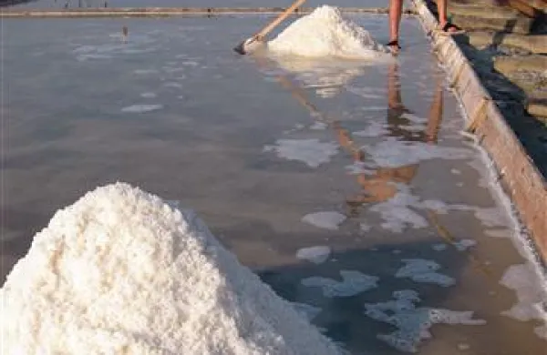 Sečovlje in Portorož v di&scaron;ečem objemu