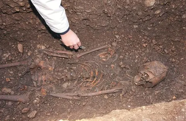 Arheologi so v raziskanih grobovih v Mirnu našli dobro ohranjene skelete, ob njih pa številne še nepoškodovane  elemente, ki so značilni za nošo Vzhodnih Gotov