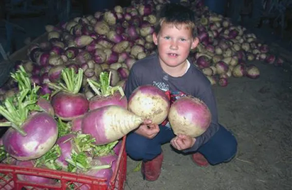 Najtežja ima več kot tri kilograme