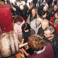 Gneča pred sodčkom z mladim vinom