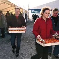 Zlati strunjanski kaki spet privabil &scaron;tevilne obiskovalce