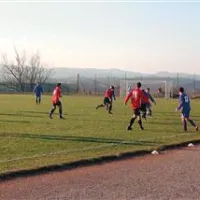 Evrogol Andreja Penka
