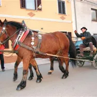 Iskri konjički so te dni prepeljali marsikateri sodi, tudi v Vrhpolju 