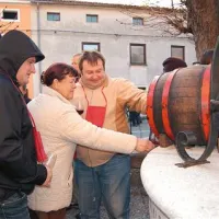 Martinovanja so poživila konec tedna v vseh vinogradniških vaseh v zgornji in spodnji Vipavski dolini. Kljub temu, da je bila burja ostra in mrzla, ni prišla do živega ljubiteljem plemenite kapljice, ki so na svoj račun med drugim prišli na prireditvi Vipavski vinski hrami.  