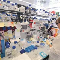 V laboratoriju