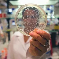 V laboratoriju