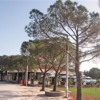  Veda Invest je poslovno povezana s skupino Maksimilijan tudi prek podjetja Piperis, ki sta ga ustanovila skupaj  in je registrirano za gostinstvo in storitve. Piperis ima v lasti objekt pod Metropolom, v katerem domujejo razni gostinski in poslovni lokali. 