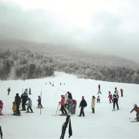 Ski bor v Črnem vrhu je vsestranski in priročen  - z dnevnim in nočnim smučanjem na položnem in nekoliko strmejšem  kompaktno zasneženem pobočju