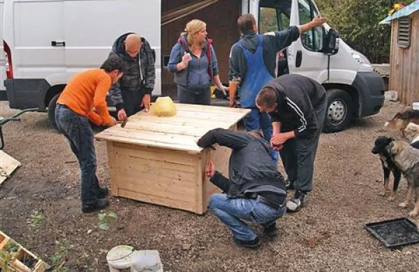 Člani društva Animal Angels so pomagali graditi zavetišče v Bihaču