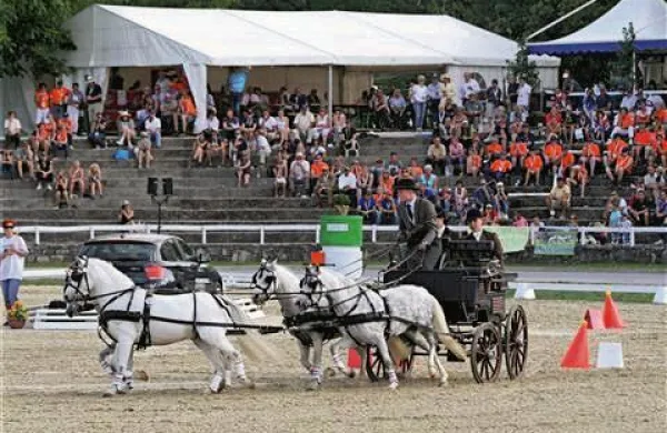 V prazničnih dneh v Lipici pričakujejo 100.000. letošnjega obiskovalca (Foto: Tina Čič)