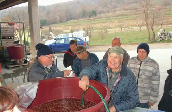 Do jabolčnega soka na sadjarski kmetiji Bi&scaron;čak