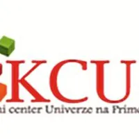 Delavnica tehnike prepričevanja in argumentiranja