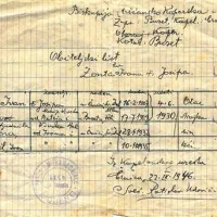 Rojstni list družine Zonta
