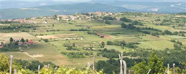 Istra, poseljena s Slovenci, se ne konča z državno mejo, poudarja Nadja Rojac