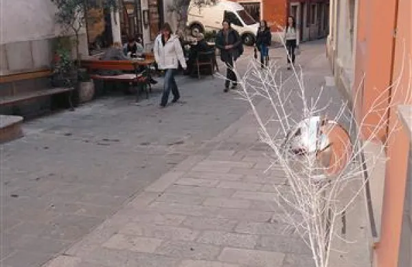 Člane, ki sodelujejo pri prireditvi “Gremo en giro po Kopru”, je mogoče prepoznati po belem drevescu s srebrno kroglo