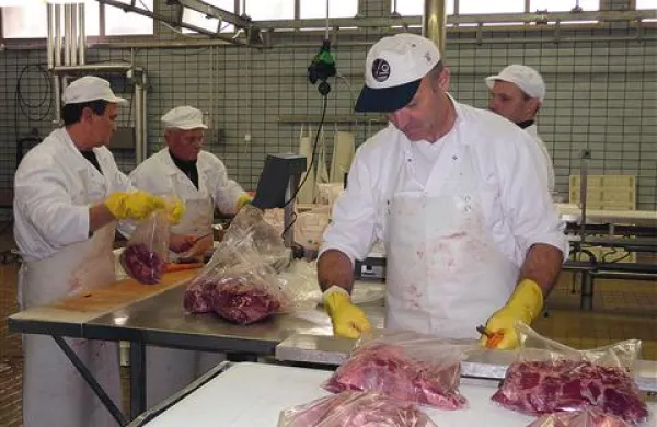 Alpika  izkoženo  in izkoščičeno divjačino prodaja v Italijo 