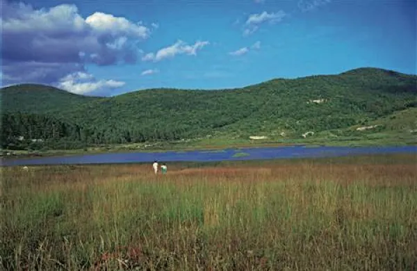 Palško jezero (Foto: Slavko Polak)