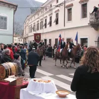 Vipava