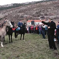 Zanigrad