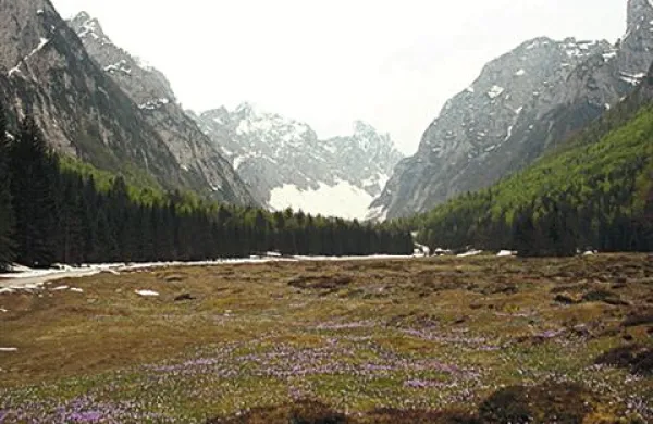 Planinko se ni vrnila s pohoda. Fotografija je simbolična