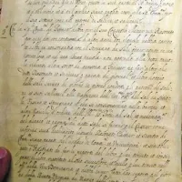 Eden od velikih težav pri preučevanju solnih pogodb je bila njihova transkripcija. Prve solne pogodbe iz 13. stoletja so bile pisane še v latinščini, medtem ko so bile zadnje že v italijanščini. To pa ne pomeni, da je bila transkripcija slednjih veliko lažja, opozarja Bonin. Največ težav so predstavljale tak imenovane ligature, okrajšave, ki jih je bilo treba najprej vsebinsko razvozlati, šele potem pa zapisati.  